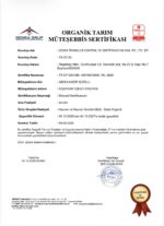 Organik Perga (Arı Ekmeği) 500 Gram - Görsel 2
