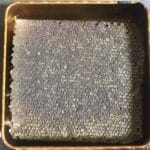 Organik Petek Bal 2 kg